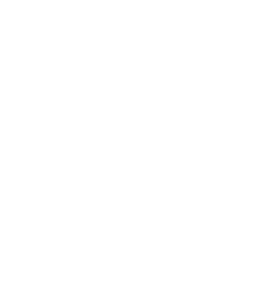 Selite Investments